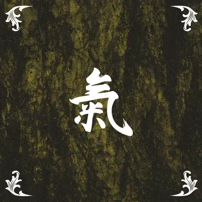 Ki 〜氣〜 - Devin Townsend Project