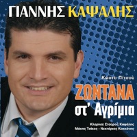 Giannis Kapsalis - Anamniseis Anamniseis (Αναμνήσεις Αναμνήσεις)
