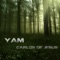 Yam - Carlos De Jesus lyrics