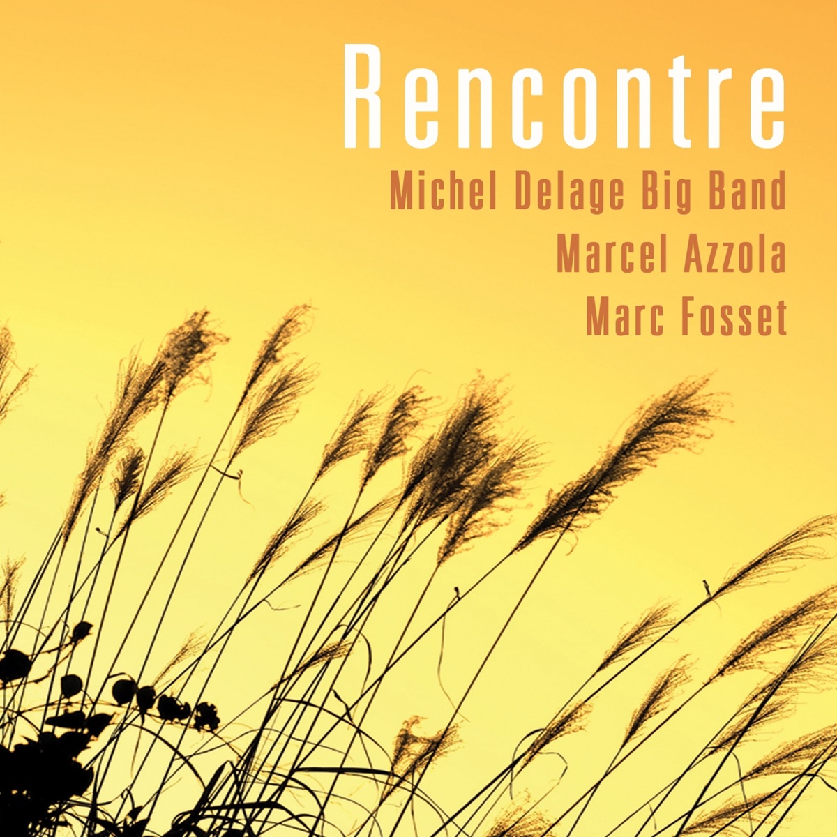 Cover du titre Le bal des oiseaux