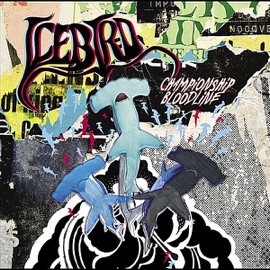 Cut My Teeth Icebird