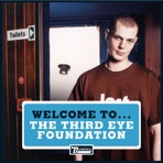 Welcome to The Third Eye Foundation - EP