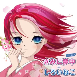 Idol Freak Collage 3