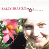 Sally Shapiro - Skating In the Moonshine [Solvent Remix]