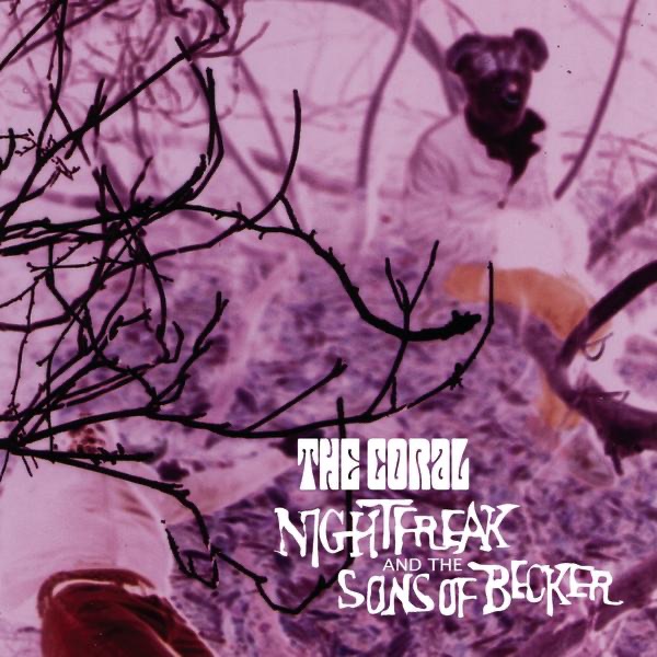 Nightfreak and the Sons of Becker cover