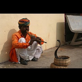 Snake Charmer Aggrozilla