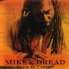 Rasta Irie Oki (Dub / Instrumental Reggae Music) cover art