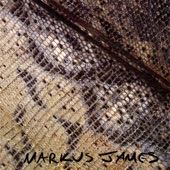 Markus James - I Won't Let It