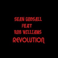Revolution (feat. Rob Williams) - Single - Sean Godsall