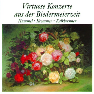 Virtuose Konzerte Der Biedermeierzeit