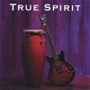 True Spirit - True Spirit