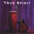 True Spirit-True Spirit