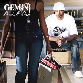 Break It Down Gemini