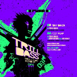 Fist Pump [feat. Mc Kenst] Trillbass & Bro Safari