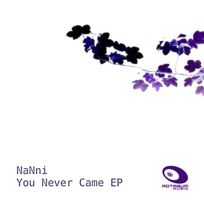 You Never Came - Single