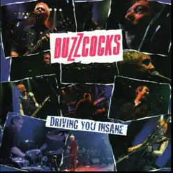 Driving You Insane (Live) - Buzzcocks