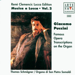 Musica a Lucca, Vol. 2: Organ Works