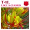 Like a Chord (Paul Ercossa Remix) - T4L lyrics
