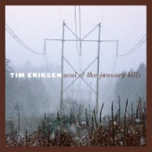Tim Eriksen - Better Days Coming