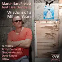 Wisdom Of A Million Years (Groove Assassin Remix)