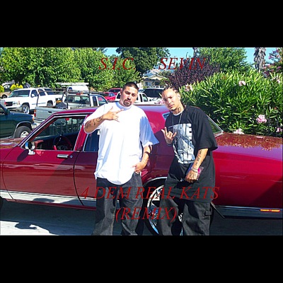 4 Dem Real Kats (Remix) [feat. Sevin] - Single