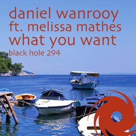 What You Want (Kris O'Neil Remix) [feat. Melissa Mathes] Daniel Wanrooy