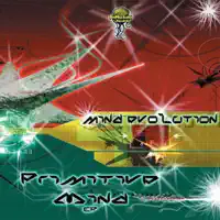 The 303 Art — Mind Evolution