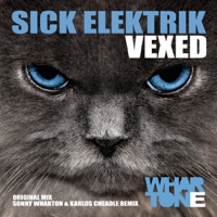Vexed - Single - Sick Elektrik