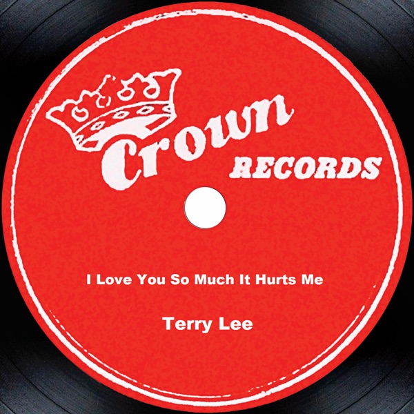 Обложка альбома «I Love You So Much It Hurts Me» — Terry Lee
