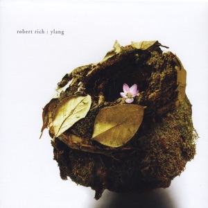 Ylang