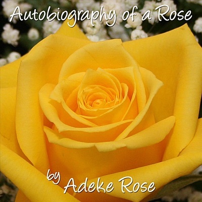 Autobiography of a Rose