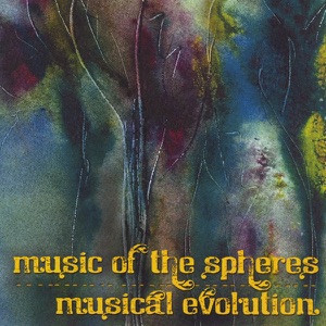 Musical Evolution