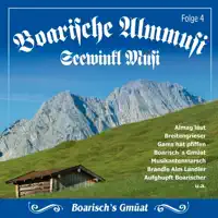 Aufghupft Boarischer (Zithermusi)