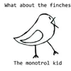 The monotrol kid - Try