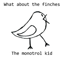 The monotrol kid - Try