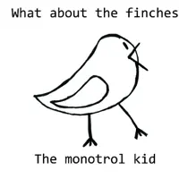 Try — The monotrol kid