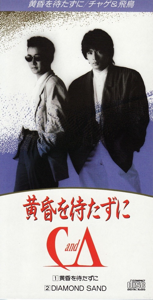 黄昏を待たずに - Single