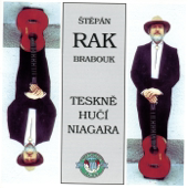 Cover art for Teskně Hučí Niagara by Štěpán Rak