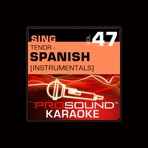 ProSound Karaoke Band