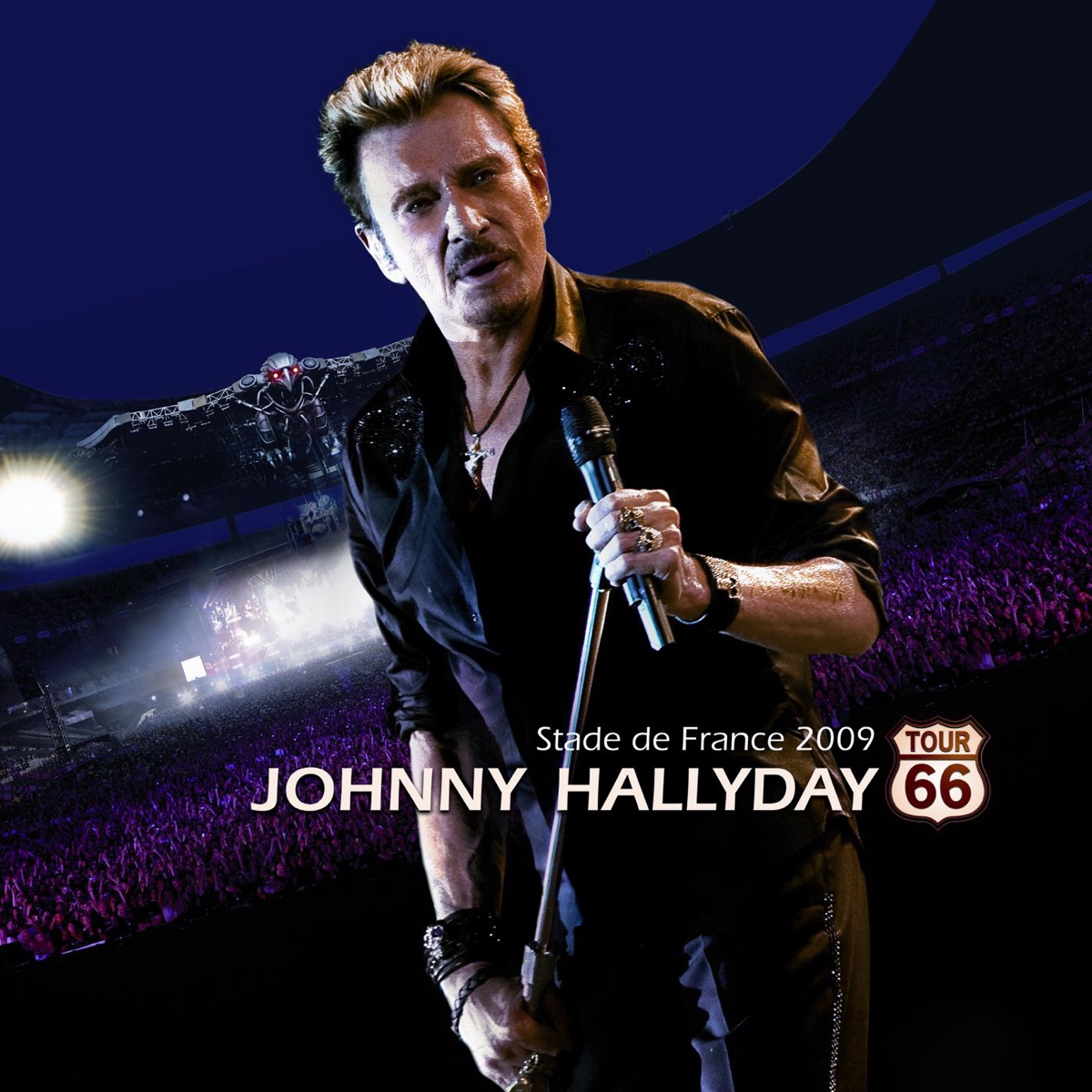 Cover du titre Joue pas de rock'n'roll pour moi (Live au Stade de France 2009)
