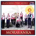 Javorinka sediva