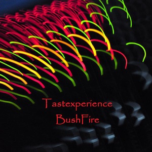 Bushfire