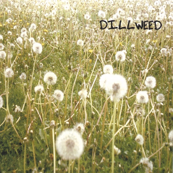 Dillweed