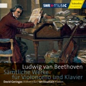 12 Variations on "Ein Mädchen oder Weibchen" in F Major, Op. 66: Variation XII artwork