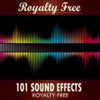 101 Sound Effects - Toilet Flush 01