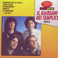 CONCERTO IN LA MINORE