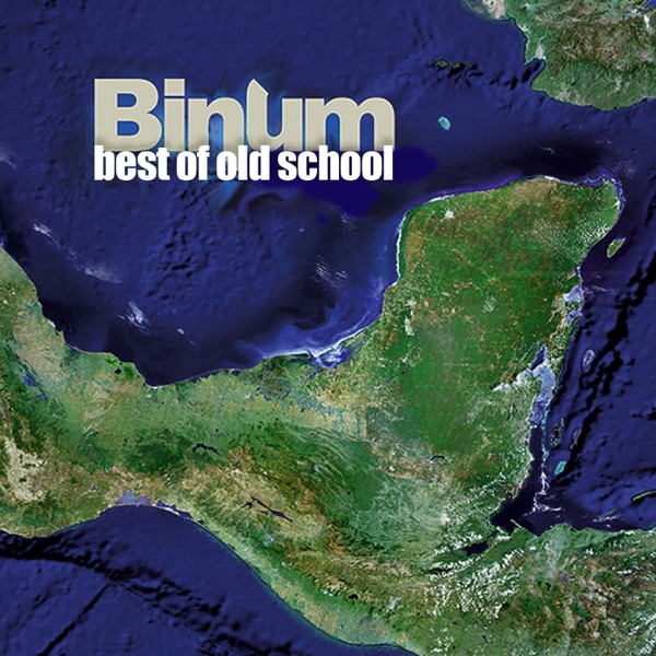 Best of Binum Old School artwork