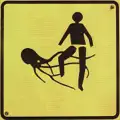 Bin Raider