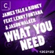 What You Need feat Lenny Fontana Jason Walker EP