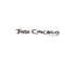Chick Filler - Judi Chicago lyrics